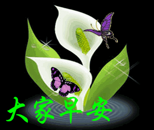 清晨问候早安的简短语句,新的一天早安祝福语精美语句