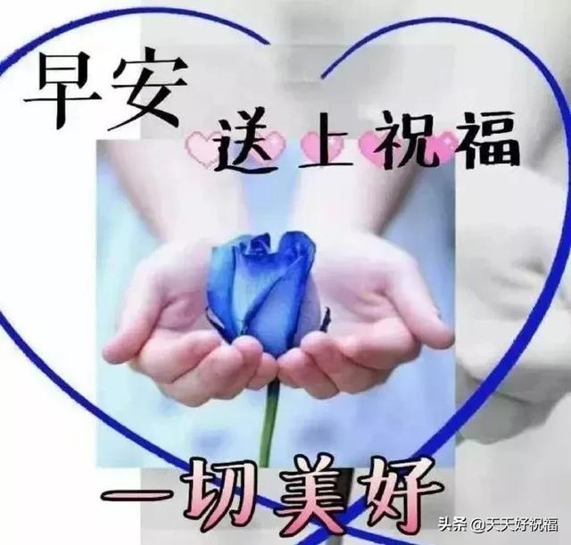 清晨问候早安的简短语句,新的一天早安祝福语精美语句