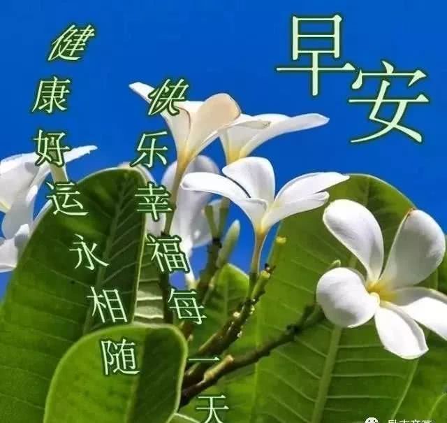 做生意早安心语温馨句子(早安生意励志语录)