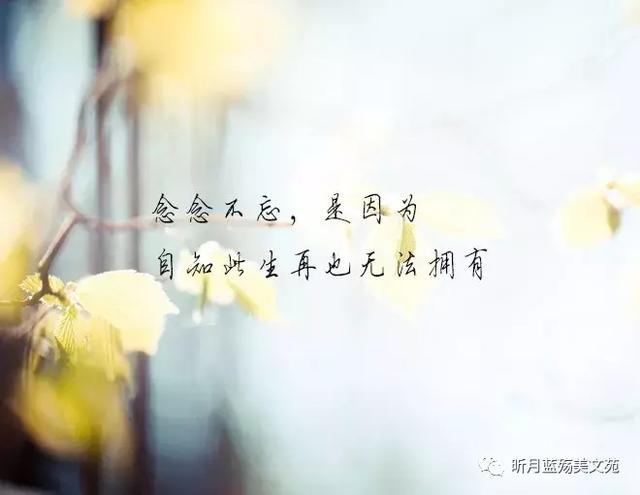 别等我离开了,再来说爱我