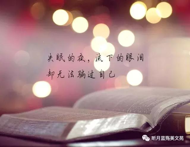 别等我离开了,再来说爱我