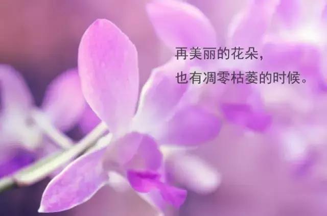 微信朋友圈早安优美的句子 朋友圈早安心语短句