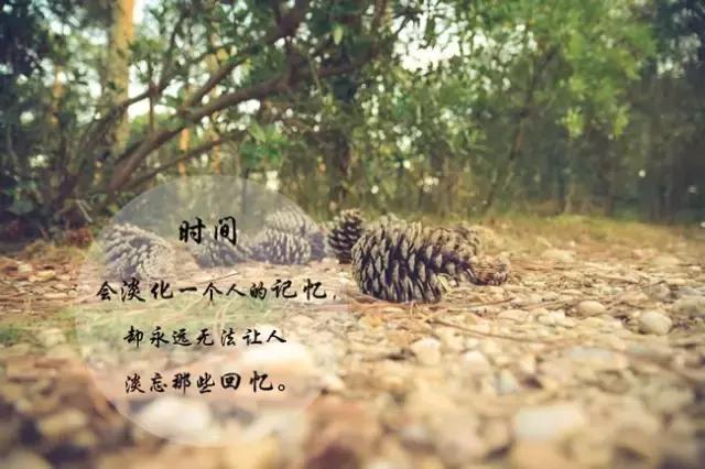 微信朋友圈早安优美的句子 朋友圈早安心语短句