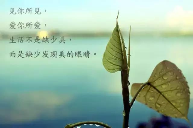 微信朋友圈早安优美的句子 朋友圈早安心语短句