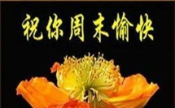 感谢朋友圈的温馨句子(发朋友圈感恩的句子)