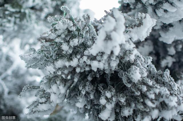 下雪天发朋友圈的暖心句子,哪一句温暖了你的心窝?