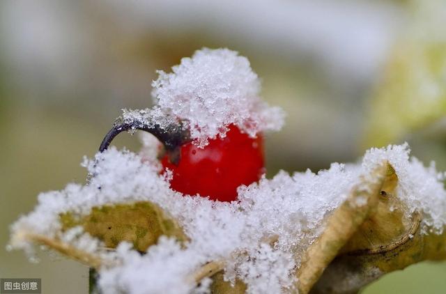 下雪天发朋友圈的暖心句子,哪一句温暖了你的心窝?