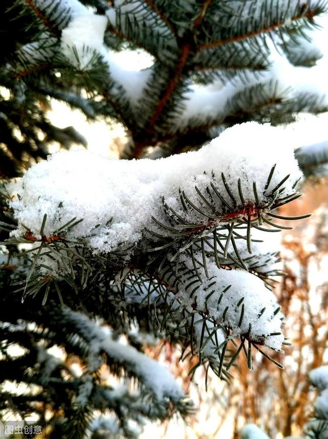 下雪天发朋友圈的暖心句子,哪一句温暖了你的心窝?