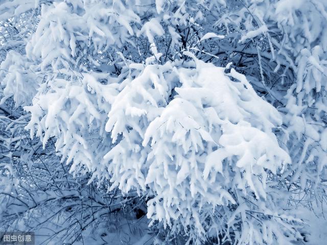 下雪天发朋友圈的暖心句子,哪一句温暖了你的心窝?
