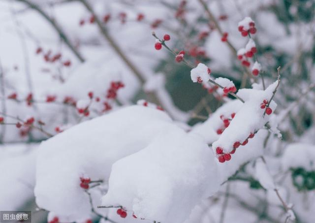 下雪天发朋友圈的暖心句子,哪一句温暖了你的心窝?