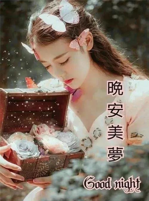晚安温馨句子,朋友圈暖心的晚安说说