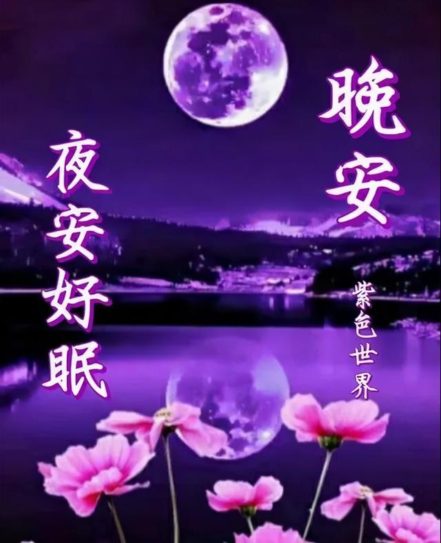 晚安温馨句子,朋友圈暖心的晚安说说