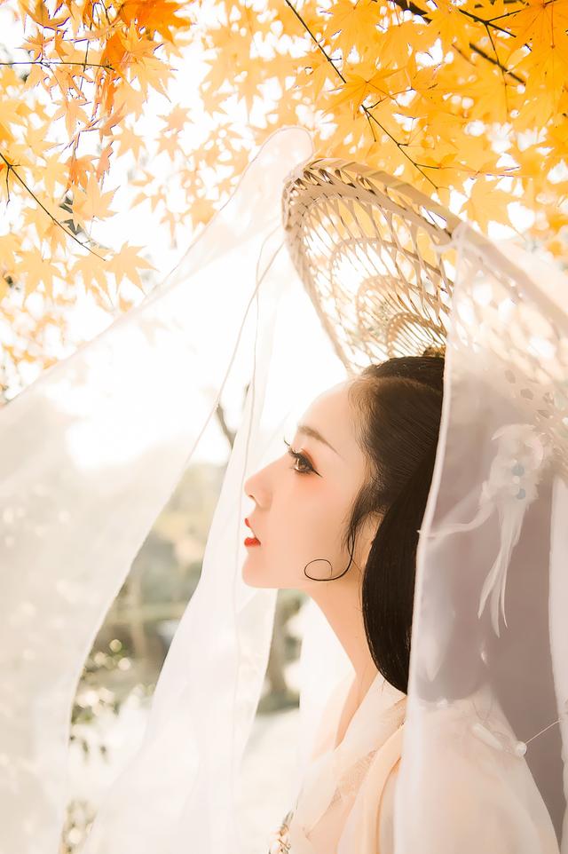 “秋意浓”:37个写“秋”名句,秋天的美与思念,全在这里