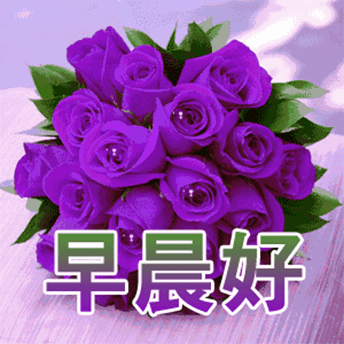 星期一最美早上好问候语和关心话,早上好问候语祝福句子