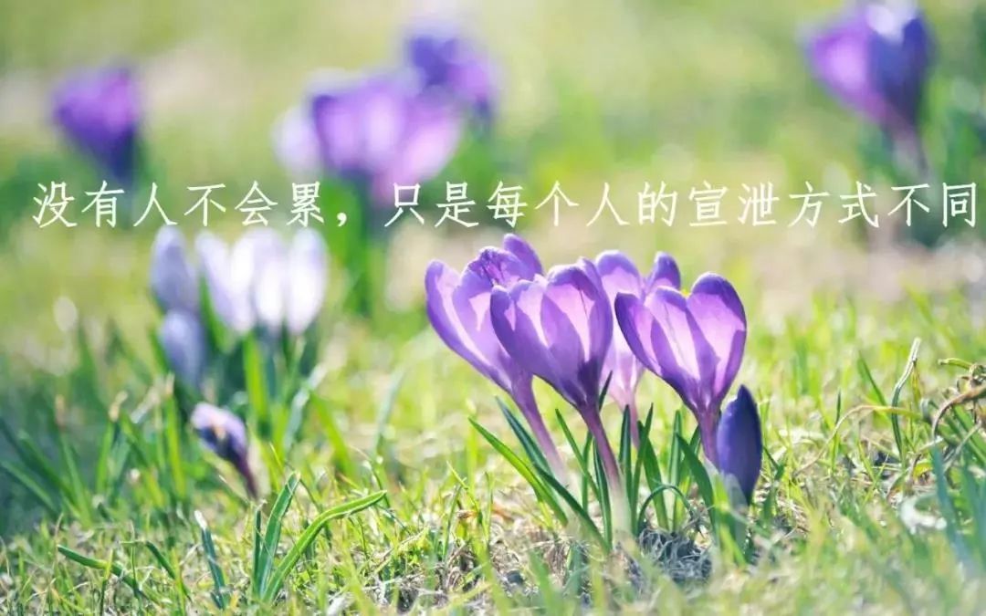 健康经典句子(健康的身体的经典语录)