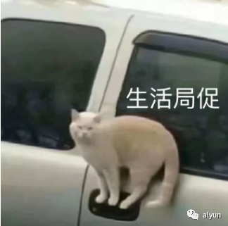 那些想让你每天开心的句子-句子橘