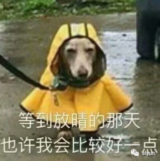那些想让你每天开心的句子-句子橘