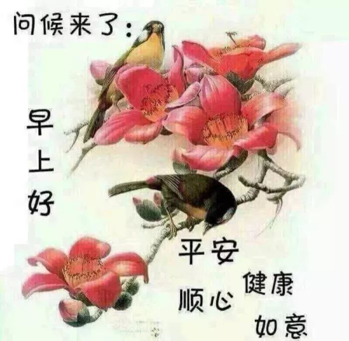 春季三月早晨好问候语阳光句子早晨好祝福图片动态大全-句子橘 春季三月早晨好问候语阳光句子早晨好祝福图片动态大全-句子橘
