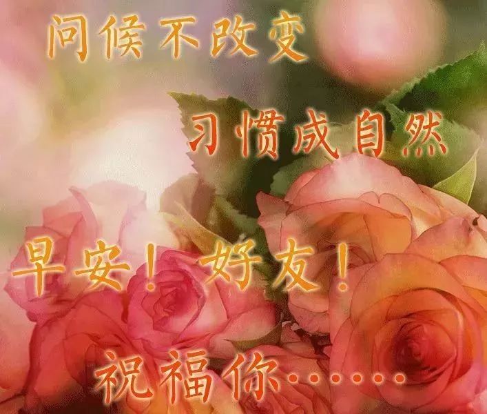 春季三月早晨好问候语阳光句子早晨好祝福图片动态大全-句子橘 春季三月早晨好问候语阳光句子早晨好祝福图片动态大全-句子橘