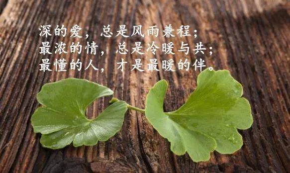 感悟人生哲理句子经典_(人生哲理名言100句)