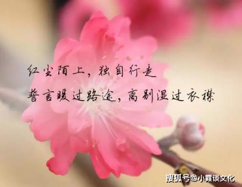 劝女生别伤心的句子(安慰别人不要伤心的话)