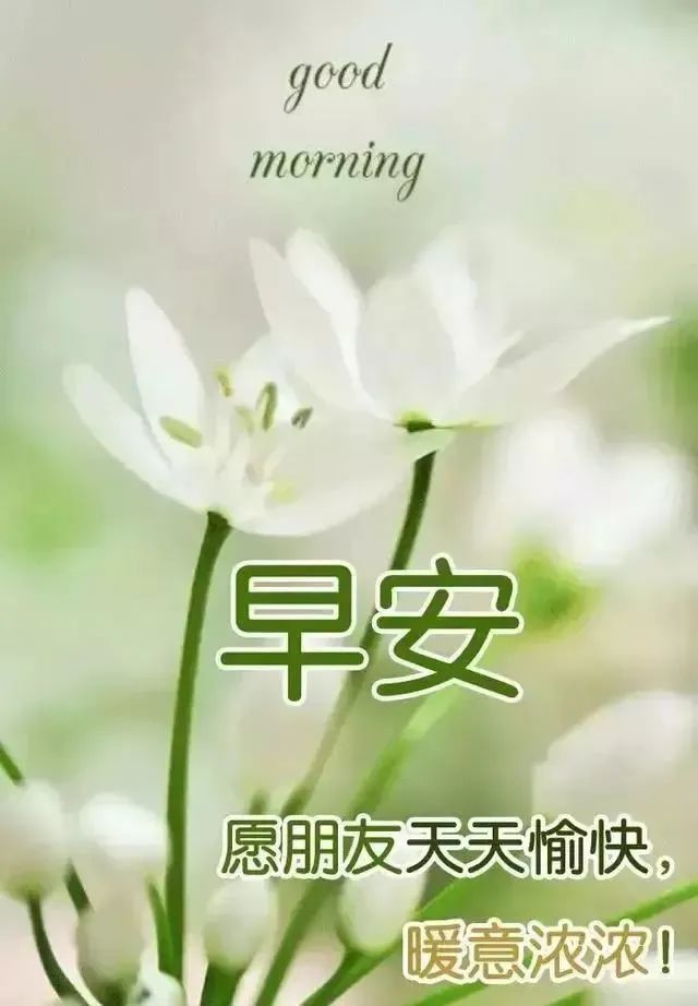 清晨的阳光唯美句子-句子橘