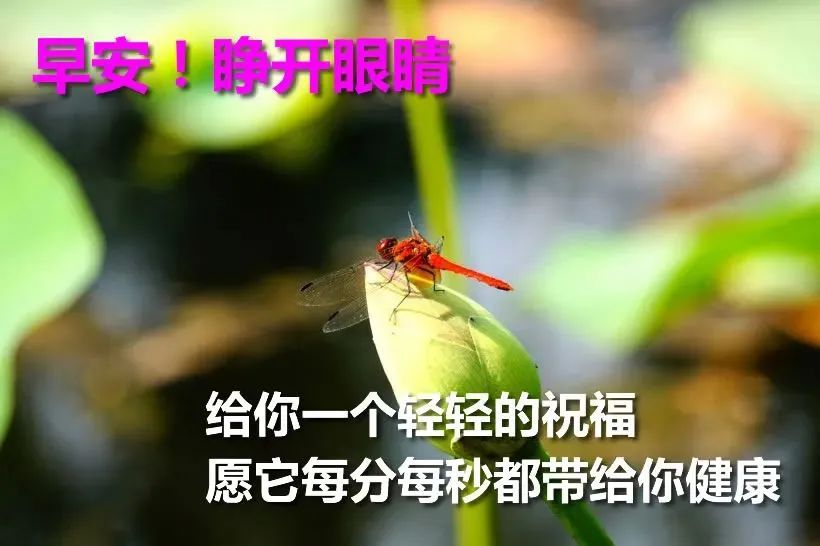 清晨的阳光唯美句子-句子橘