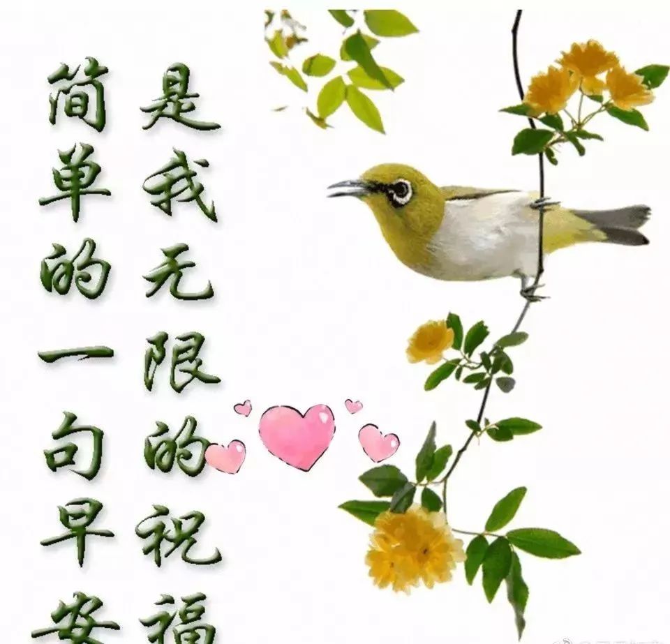 清晨的阳光唯美句子-句子橘