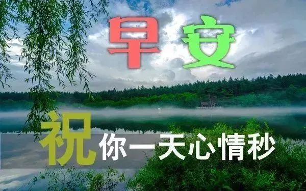 清晨的阳光唯美句子-句子橘