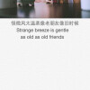 真心离伤心最近经典句子_(真心离伤心最近)
