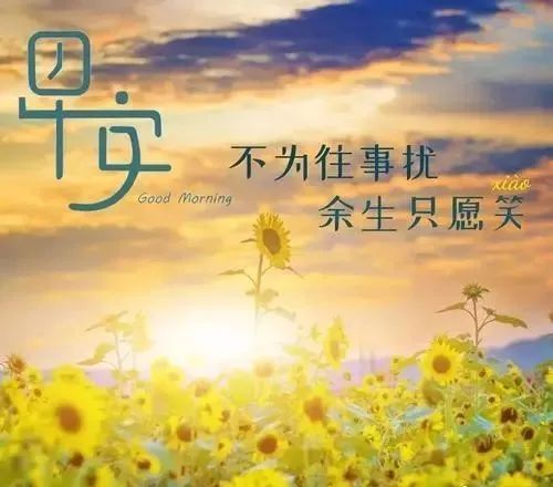 2021微信早晨激励人心的励志经典好句-句子橘