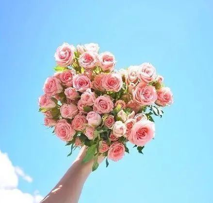 微信里面很阳光的句子,像温柔的风,温暖心灵-句子橘 微信里面很阳光的句子,像温柔的风,温暖心灵-句子橘
