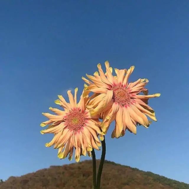 微信里面很阳光的句子,像温柔的风,温暖心灵-句子橘 微信里面很阳光的句子,像温柔的风,温暖心灵-句子橘