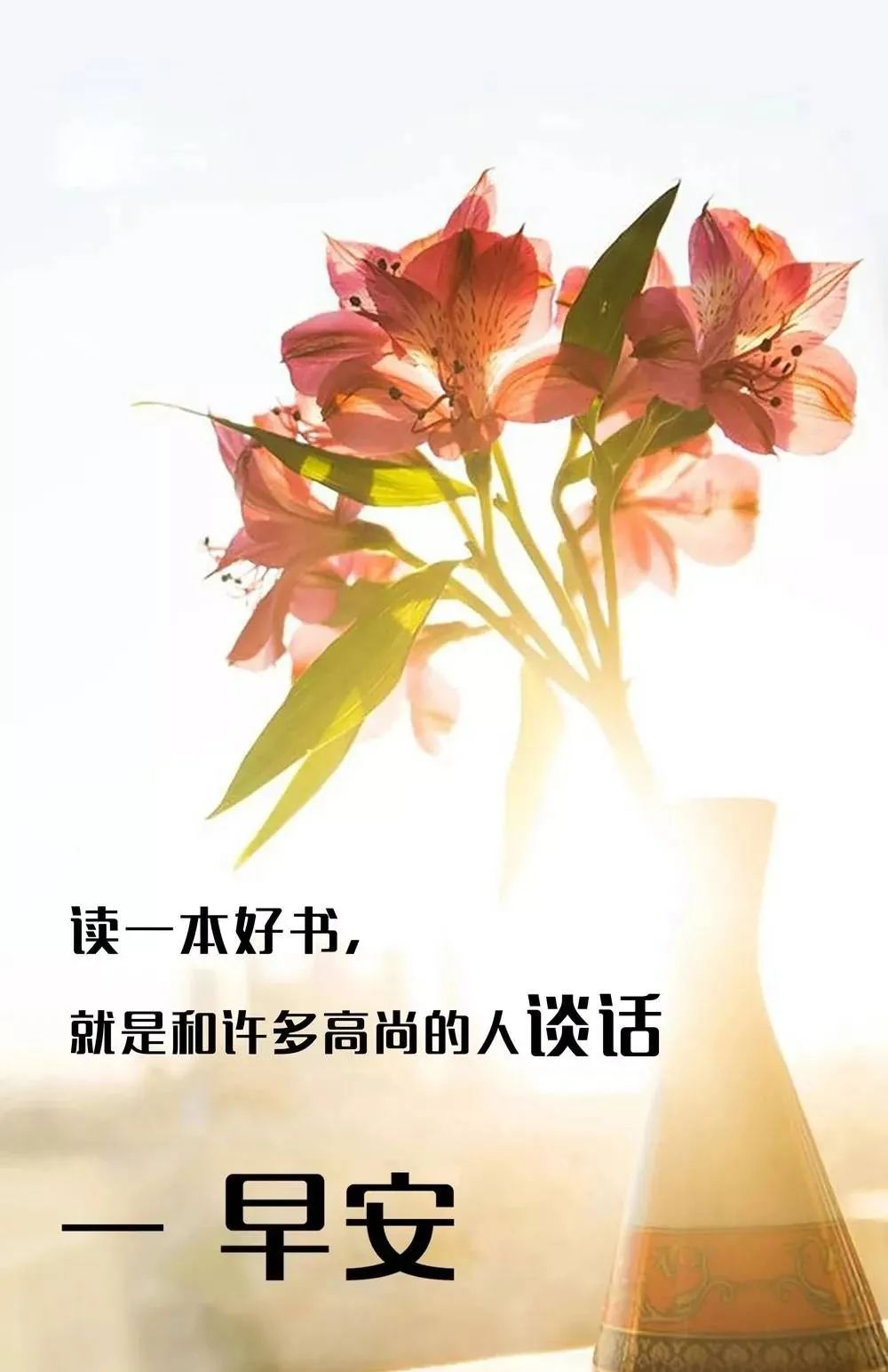早安正能量精辟语录朋友圈充满正能量经典句子-句子橘 早安正能量精辟语录朋友圈充满正能量经典句子-句子橘