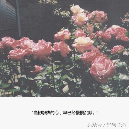分手伤心欲绝的句子 分手伤心欲绝的句子