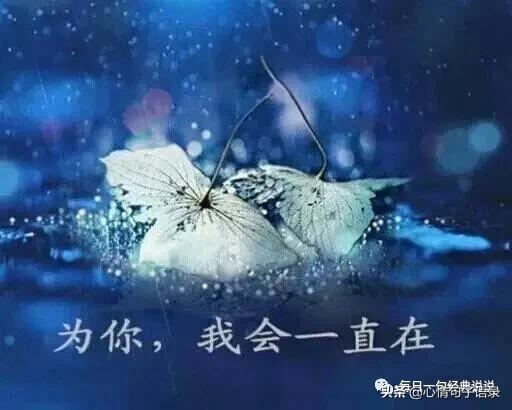 一个人伤心流泪的句子,最伤心的图片