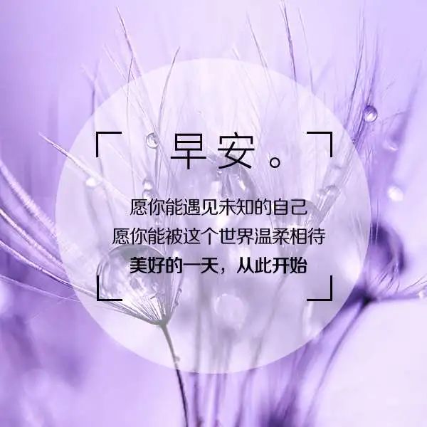 3月23日早上发朋友圈激励人心的好句子-句子橘 3月23日早上发朋友圈激励人心的好句子-句子橘