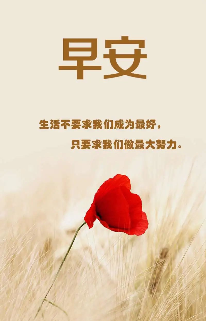 3月23日早上发朋友圈激励人心的好句子-句子橘 3月23日早上发朋友圈激励人心的好句子-句子橘