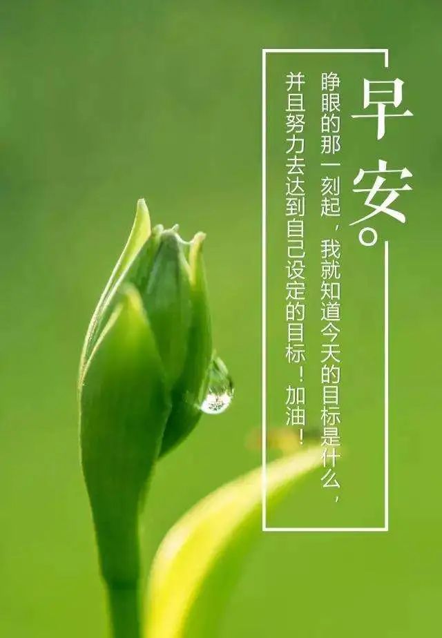 3月23日早上发朋友圈激励人心的好句子-句子橘 3月23日早上发朋友圈激励人心的好句子-句子橘