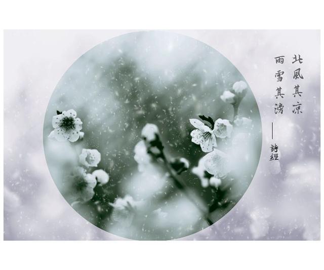 诗经中最唯美伤感的句子,你最喜欢那一句?