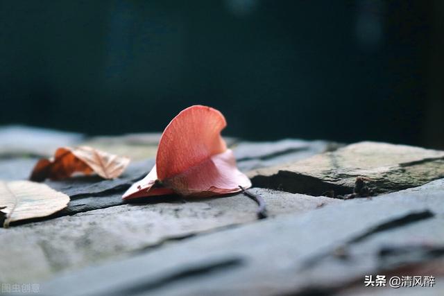 伤心的句子发朋友圈的句子 伤心的句子发朋友圈的句子