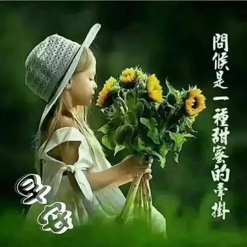 早上好的问候语阳光句子早晨好表情图片祝福-句子橘 早上好的问候语阳光句子早晨好表情图片祝福-句子橘
