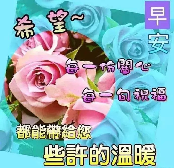 早上好的问候语阳光句子早晨好表情图片祝福-句子橘 早上好的问候语阳光句子早晨好表情图片祝福-句子橘