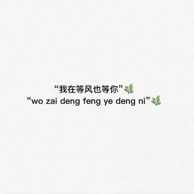 简单伤感的句子(即伤感又唯美的句子)
