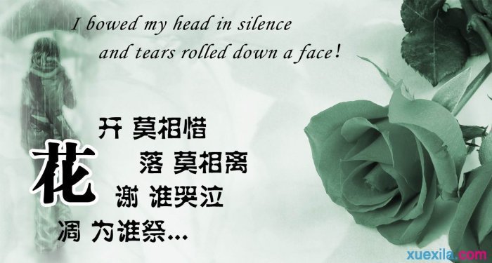 伤心愤怒句子说说心情(烦躁的句子)