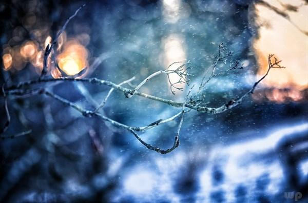 最全下雪天心情说说,浪漫、文艺、伤感、幽默……总有一句你喜欢的