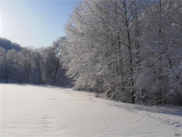 最全下雪天心情说说,浪漫、文艺、伤感、幽默……总有一句你喜欢的