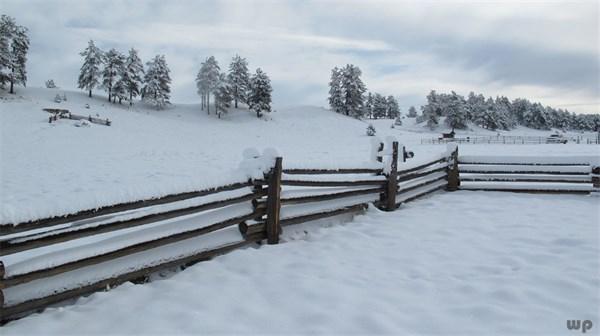 最全下雪天心情说说,浪漫、文艺、伤感、幽默……总有一句你喜欢的