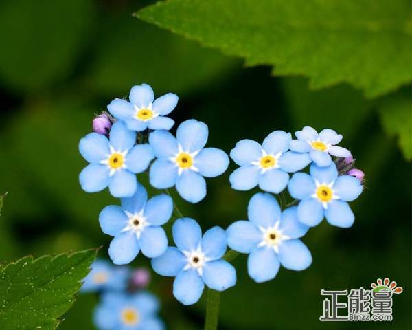 感悟人生的伤感句子(生活感悟快手的话语)