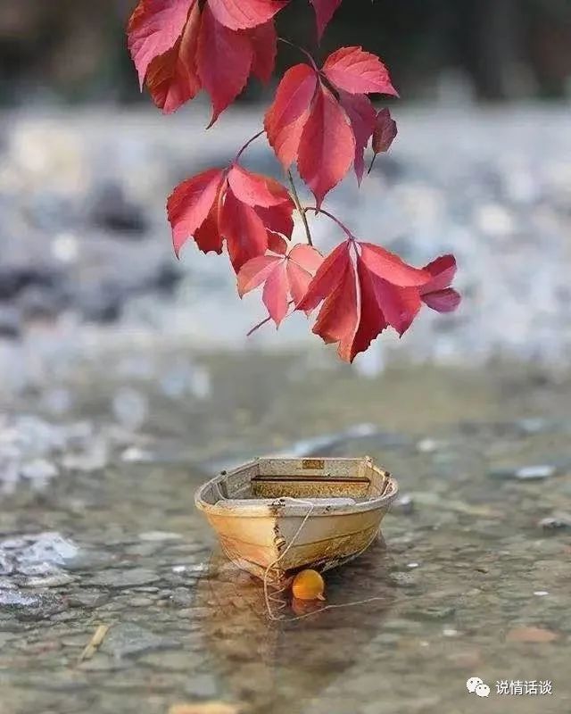 友情就像一杯酒句子-句子橘 友情就像一杯酒句子-句子橘